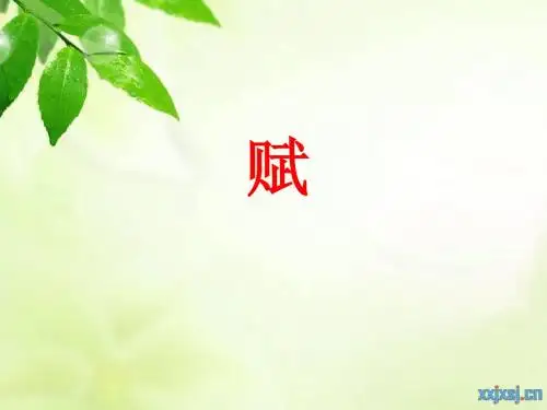 赋