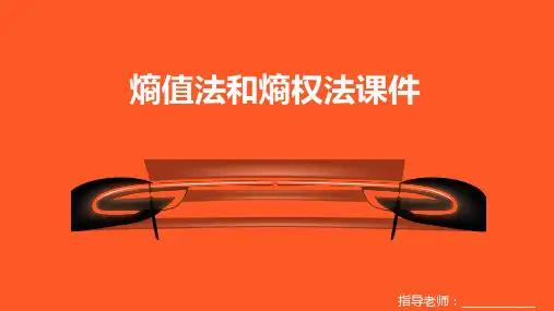 大学熵值法和熵权法课件