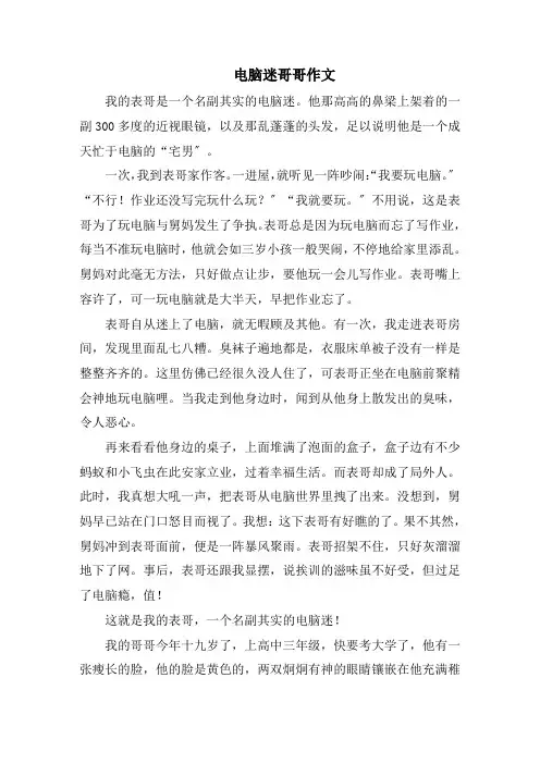 电脑迷哥哥作文范文精选
