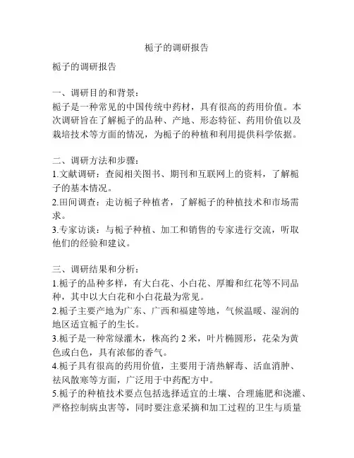 栀子的调研报告