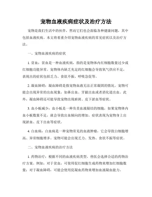 宠物血液疾病症状及治疗方法
