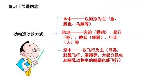 北师大版八上15.2动物运动的形成课件(13张ppt)