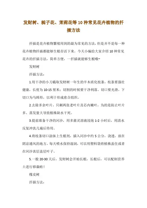 发财树、栀子花、茉莉花等10种常见花卉植物的扦插方法