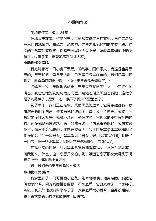 小动物作文