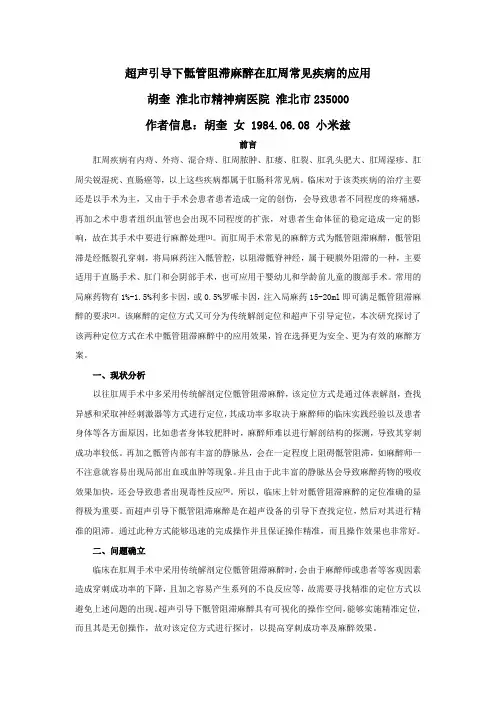 超声引导下骶管阻滞麻醉在肛周常见疾病的应用