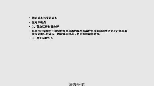 财务杠杆PPT课件