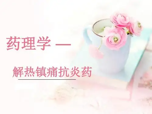 解热镇痛抗炎药 正式版