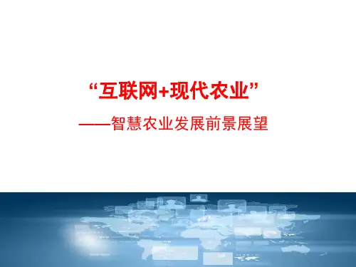 互联网现代农业智慧农业发展前景展望
