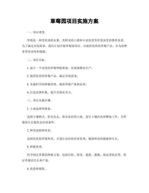 草莓园项目实施方案