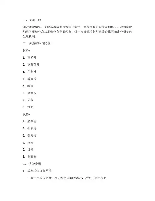 植物镜检实验报告