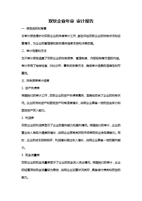 双软企业年审 审计报告