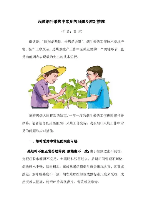 浅谈烟叶采烤中常见的问题及应对措施