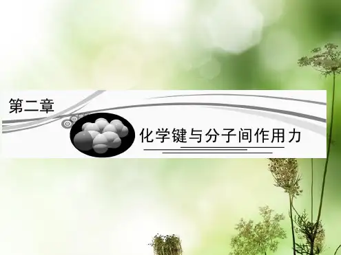 高考化学总复习 第二章 化学键与分子间作用力课件 鲁科版选修3