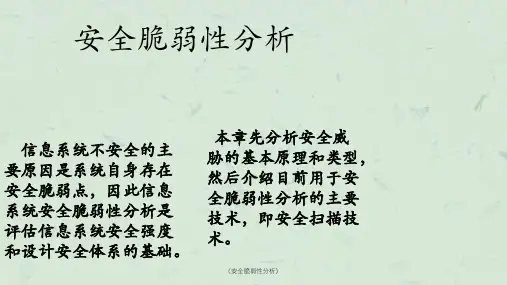 《安全脆弱性分析》课件