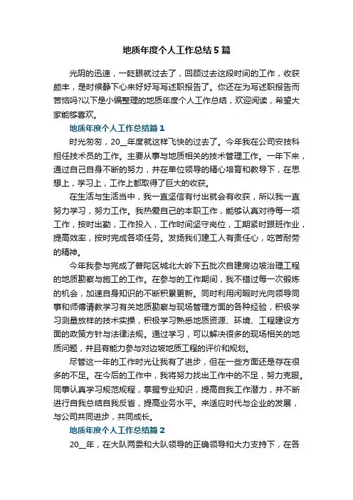 地质年度个人工作总结5篇