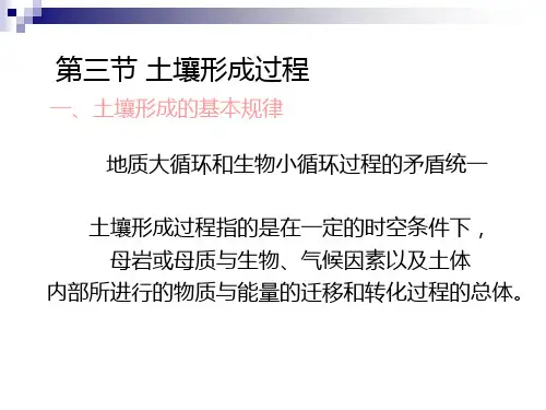 3第三节 土壤形成过程