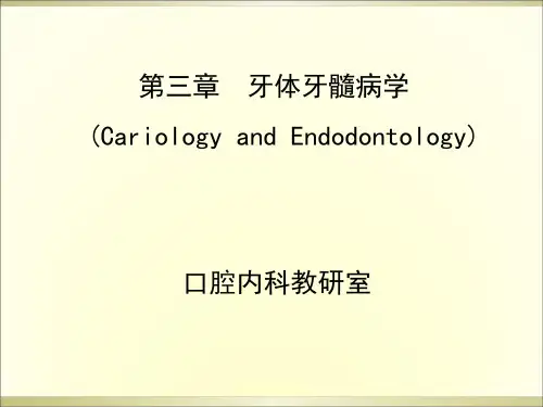 口导第三章牙体牙髓病学ppt课件