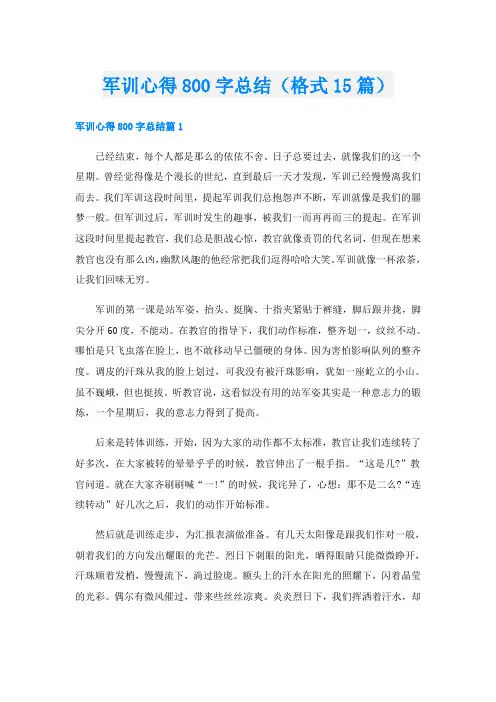 军训心得800字总结(格式15篇)