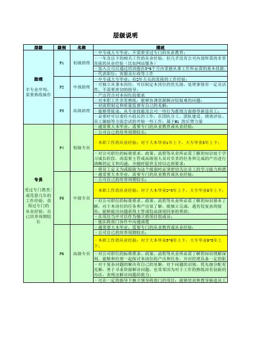 技术P序列人员能力模型-20080331