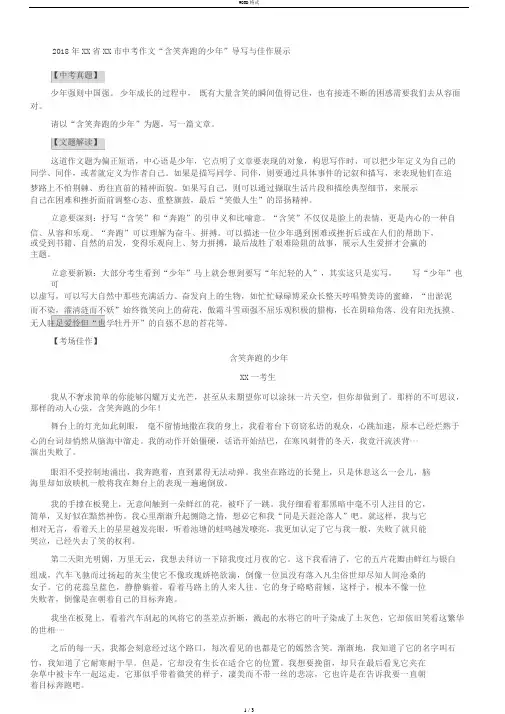 2018年江苏省常州市中考作文“含笑奔跑地少年”导写与佳作展示