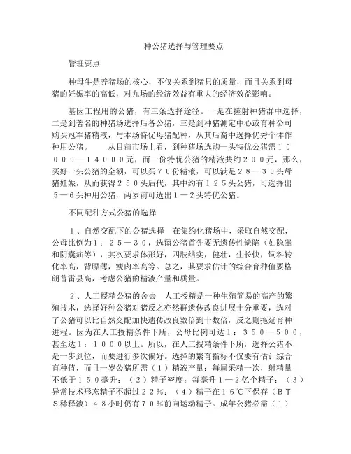 种公猪选择与管理要点
