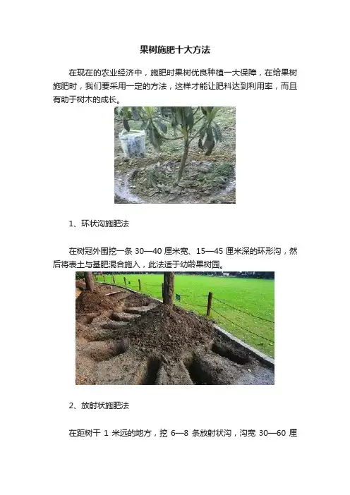 果树施肥十大方法