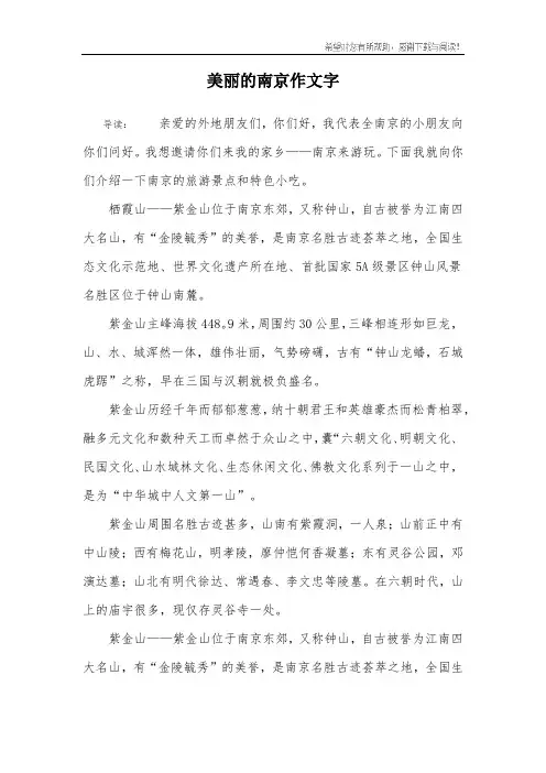 美丽的南京作文字
