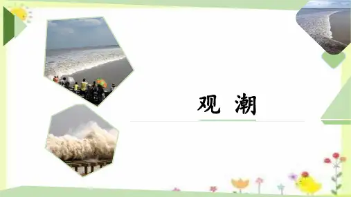 1《观潮》  课件(共20张PPT)