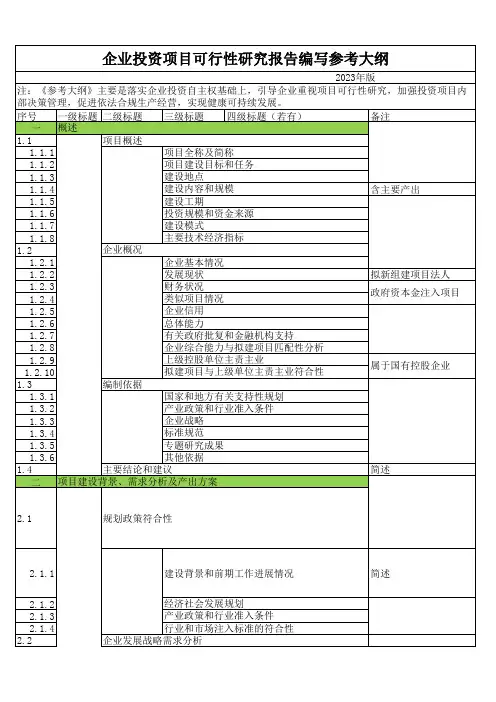 2023年可行性研究报告新大纲,大纲