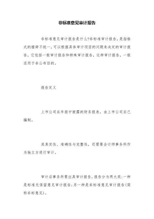 非标准意见审计报告【精品范文】