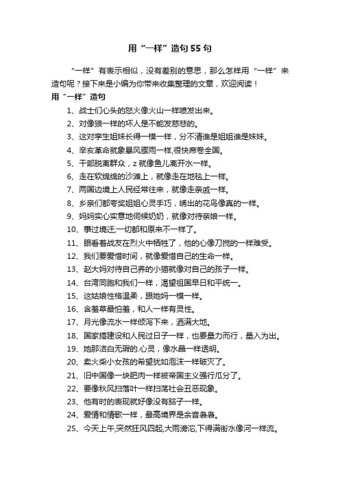 用“一样”造句55句