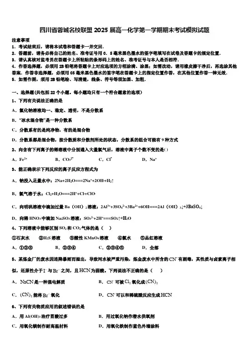 四川省蓉城名校联盟2025届高一化学第一学期期末考试模拟试题含解析