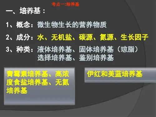 微生物的[实验室培养