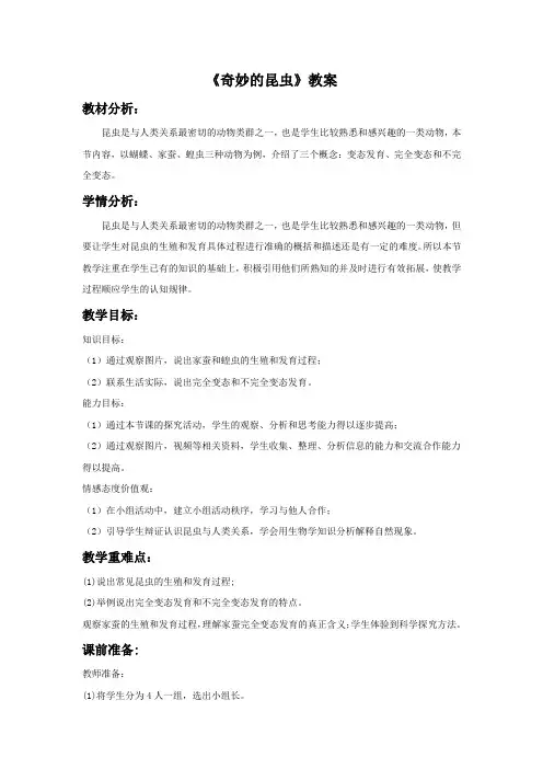 《奇妙的昆虫》教案2-1