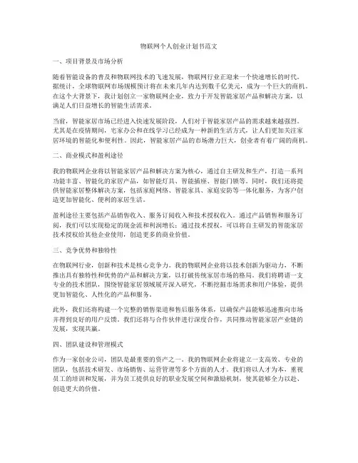 物联网个人创业计划书范文