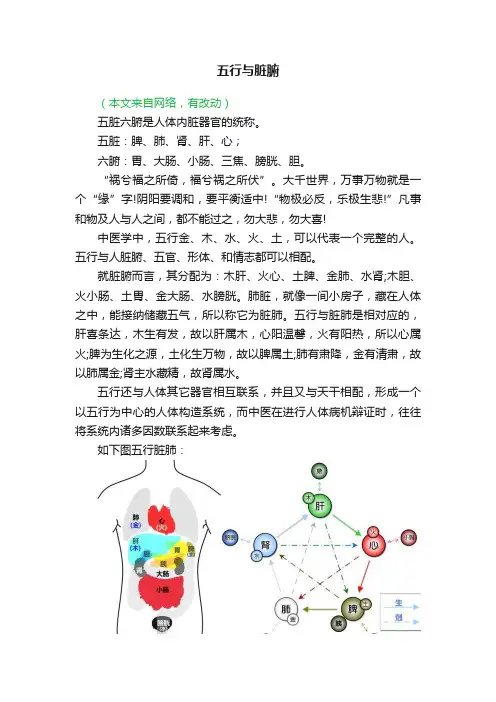 五行与脏腑