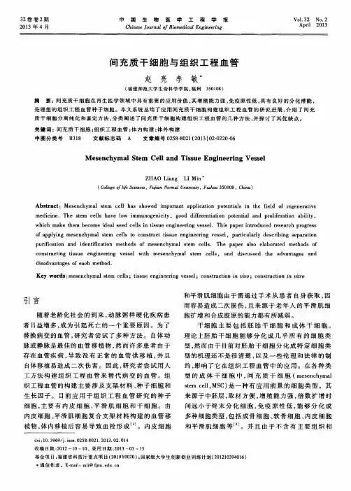 间充质干细胞与组织工程血管