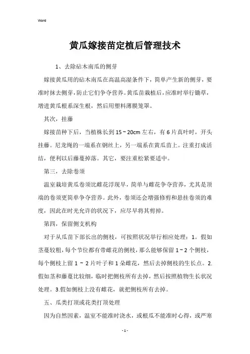 黄瓜嫁接苗定植后管理技术