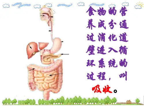 第三节营养物质的吸收和利用