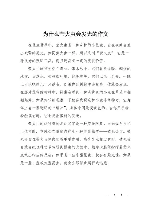 为什么莹火虫会发光的作文