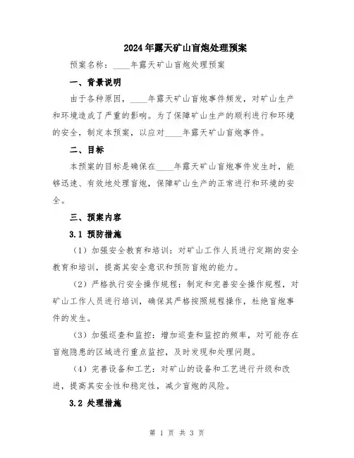 2024年露天矿山盲炮处理预案