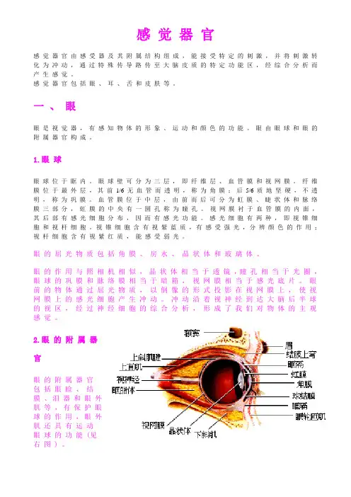 感 觉 器 官