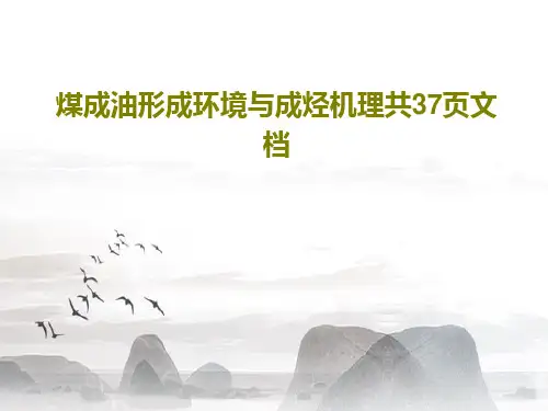 煤成油形成环境与成烃机理共37页文档共39页
