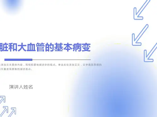 循环系统影像诊断