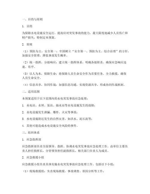 水电突发事故应急处理预案