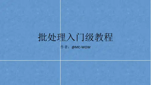 批处理入门级教程