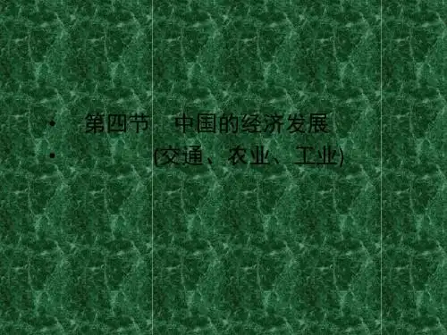 2011年高考地理一轮复习精品课件13-4中国的经济发展