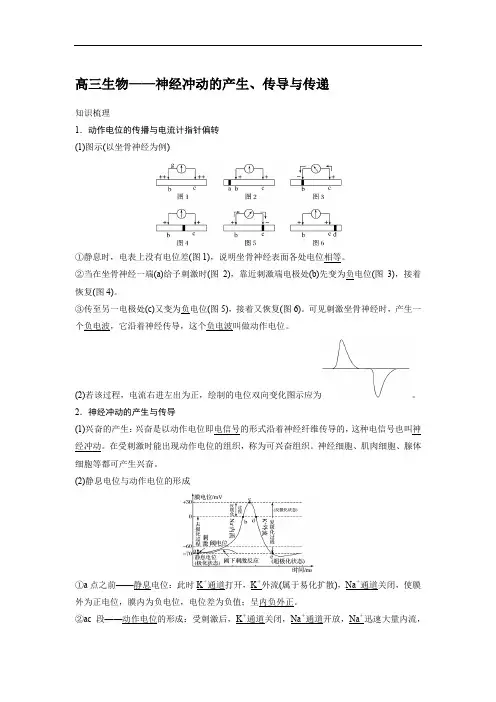 高三生物——神经冲动的产生、传导与传递