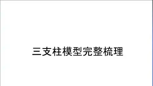最新三支柱模型完整梳理教学提纲
