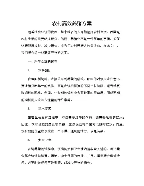 农村高效养猪方案